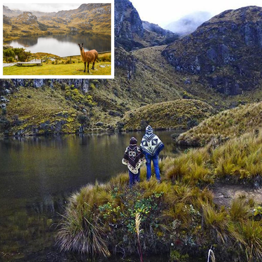 Parque Nacional Cajas. Cuenca