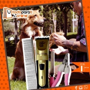 Kit Pet Clipper